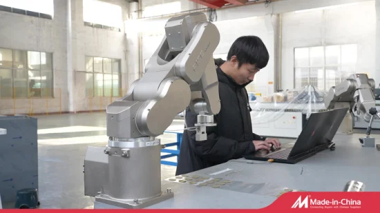 China stellt hochwertigen 6-Achsen-Industrieroboter-Kollaborationsroboterarm für die Verpackung her